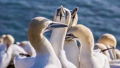 亚博体育：让体育与生活并肩前行的全新体验